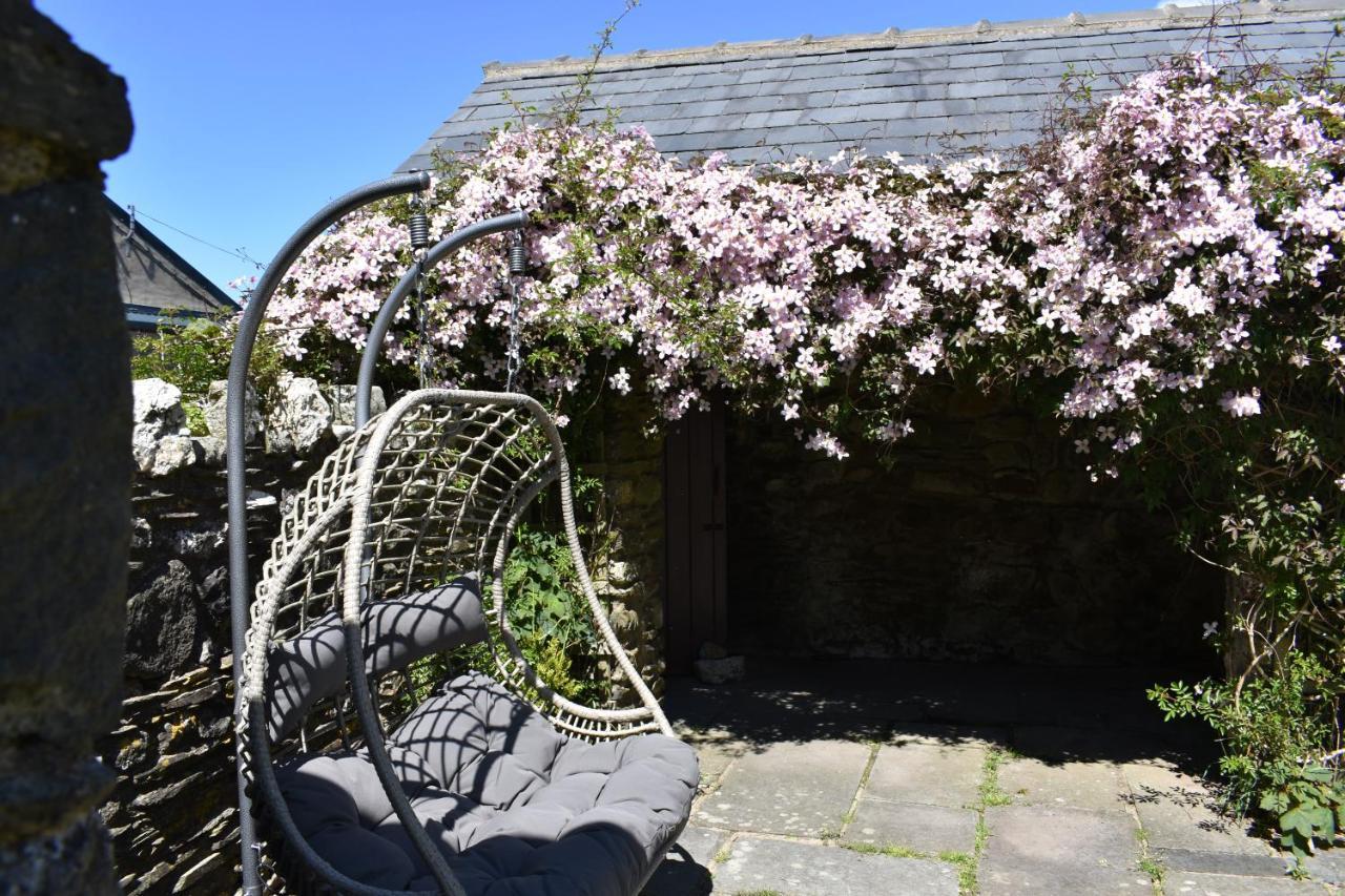 Crug Glas Country House St. Davids  Ngoại thất bức ảnh