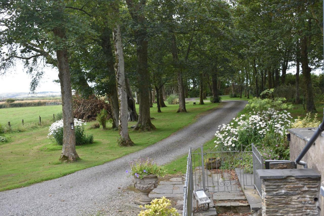 Crug Glas Country House St. Davids  Ngoại thất bức ảnh
